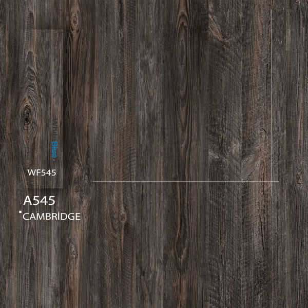 A545 Cambridge Pvc Kenar Bandı