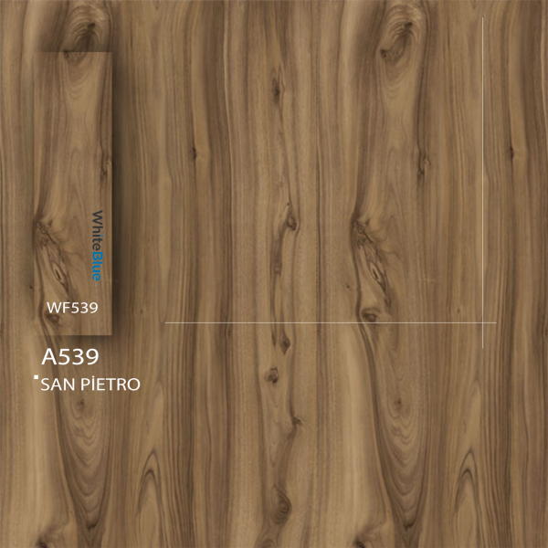 A539 San Pietro Pvc Kenar Bandı