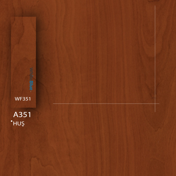 A351 Huş Pvc Kenar Bandı