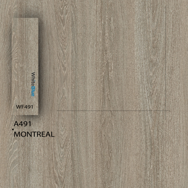 A491 Montreal Pvc Kenar Bandı