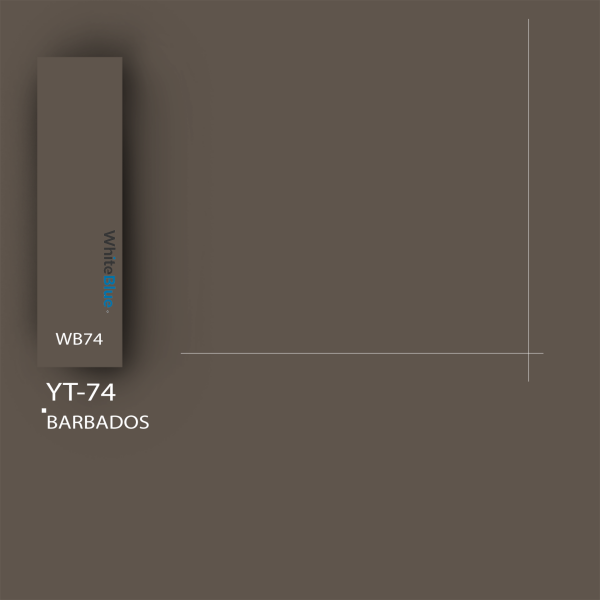 YT_74A Barbados Pvc Kenar Bandı